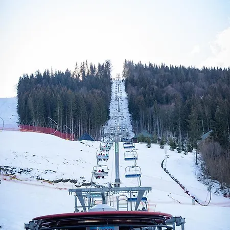 Hata Zustrich Деревянный коттедж